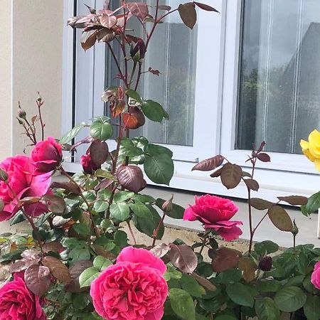 Chambre Chez L'Habitant "Les Roses De Sene" Luaran gambar